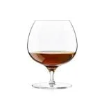 brandy-cat
